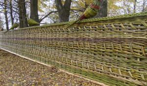 плетеный забор фото